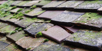 Boycott roof repair costs